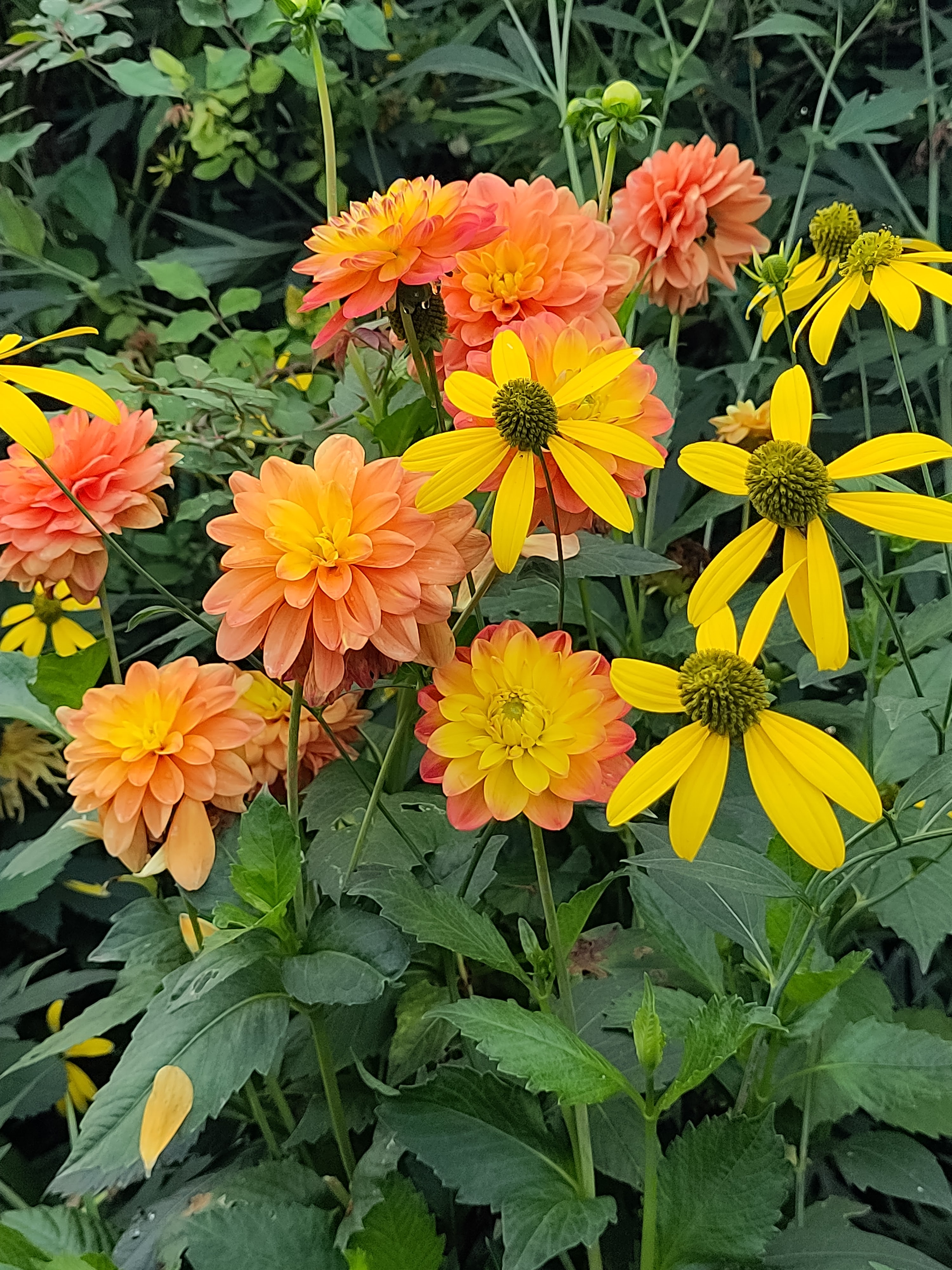 Photo n° 7 de l'avis de Lumin.U fait le 29/08/2023 à 15:58