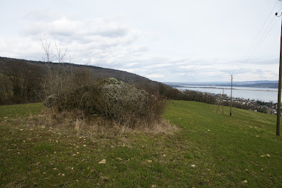 Schalenstein, Le Landeron-Combes