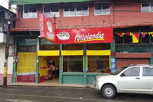 Pollolandia Palmar Norte image