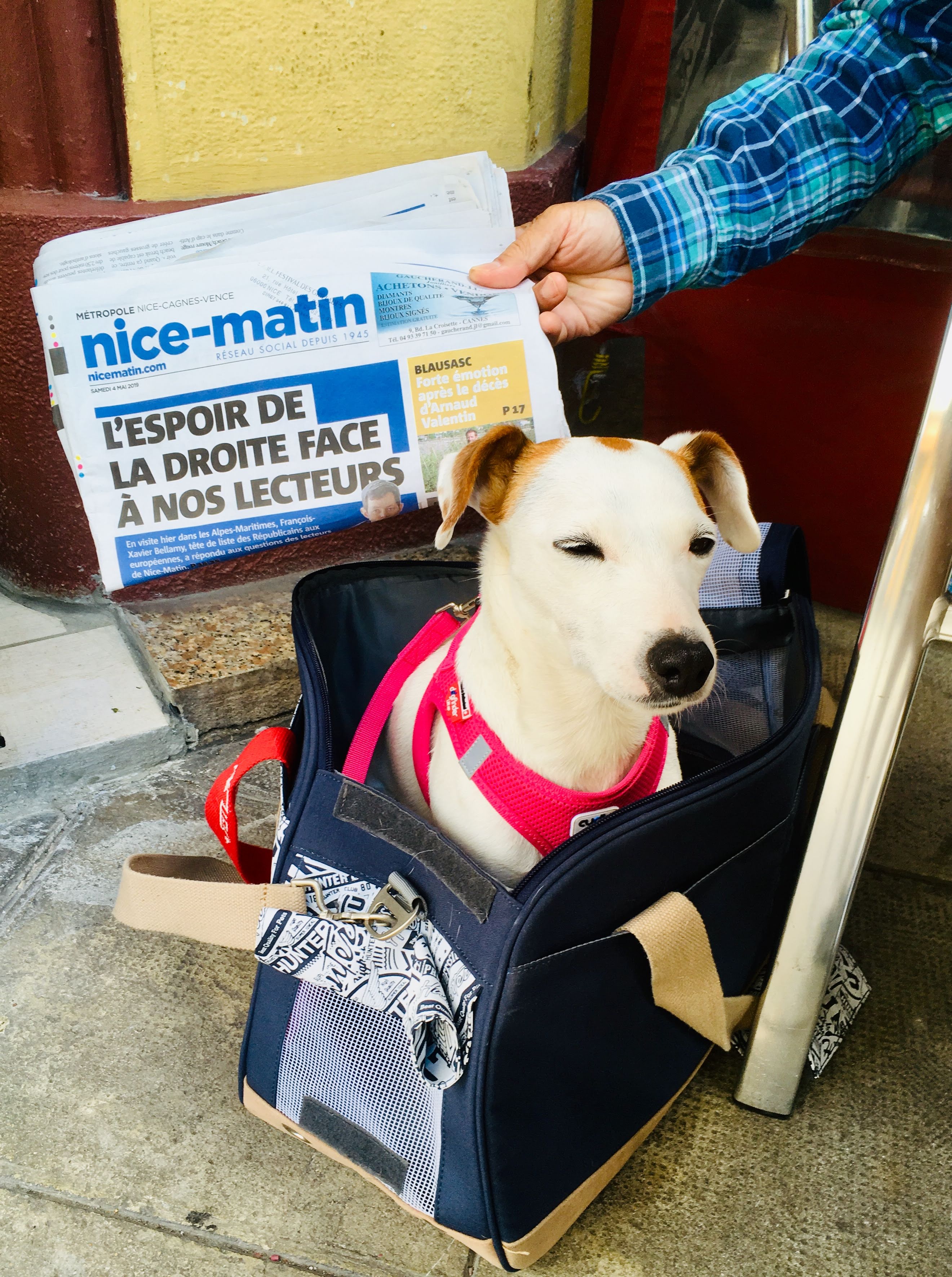 Photo n° 1 de l'avis de Patrick.e fait le 12/05/2019 à 05:51
