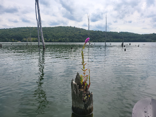 Tourist Attraction «Monksville reservoir», reviews and photos, 111 Beech Rd, Hewitt, NJ 07421, USA