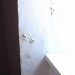 Photo n°4 de l'avis de Hypatia.a fait le 29/07/2022 à 12:20 sur le  Hotel stradivari à Milan