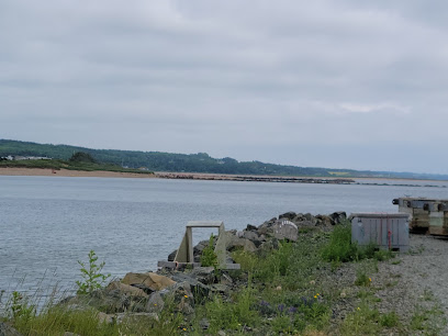 Murphy's Pond Beach