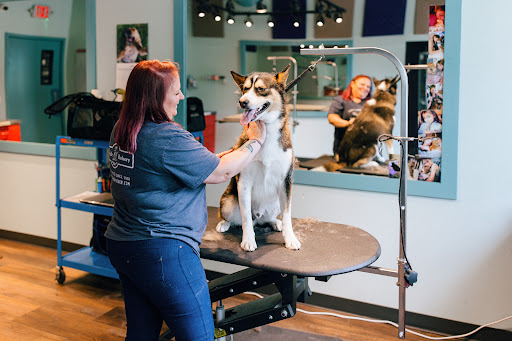 Pet Supply Store «Brookside Barkery & Bath», reviews and photos, 118 W 63rd St, Kansas City, MO 64113, USA