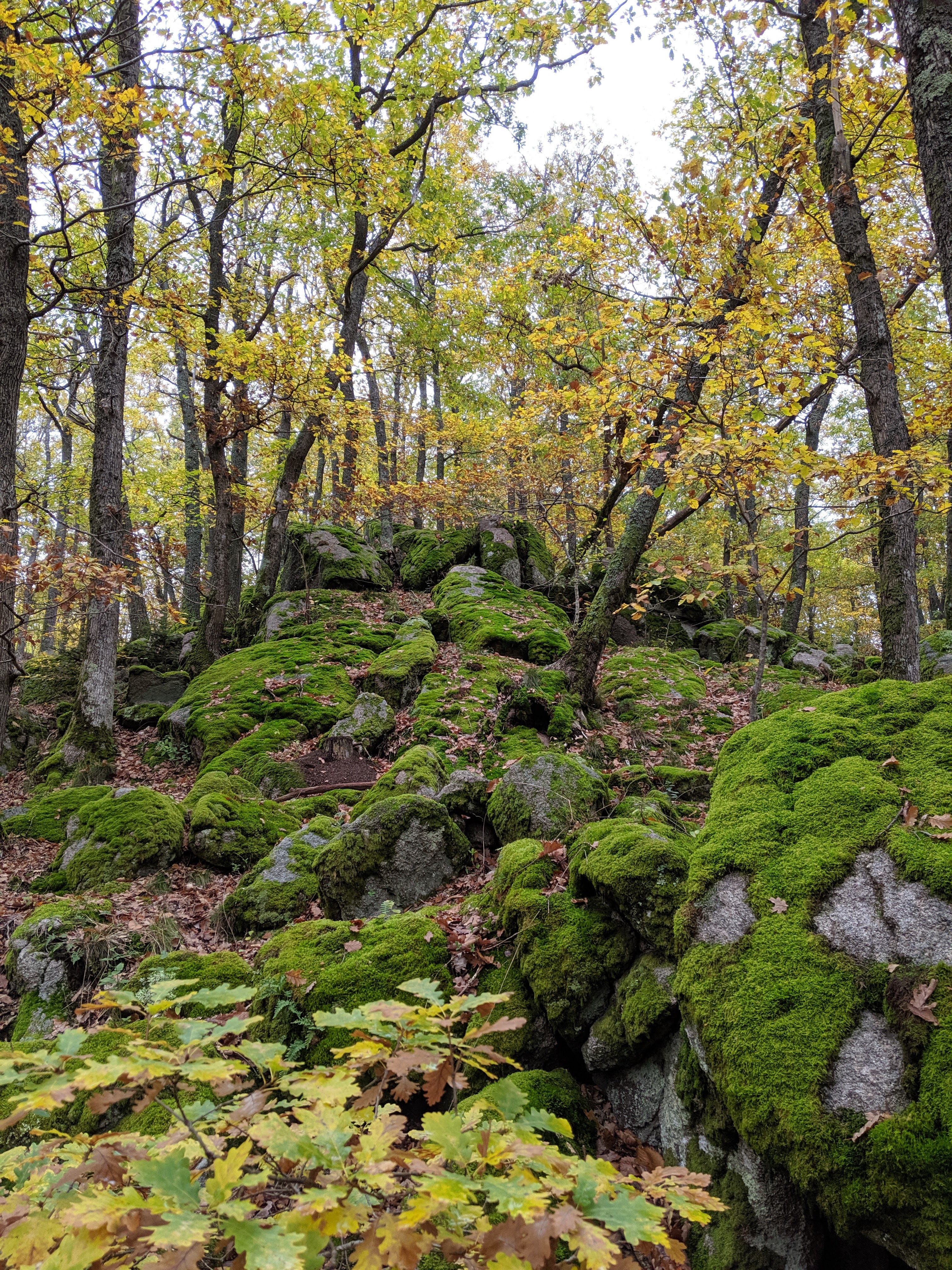 Photo n° 4 de l'avis de aurelien.a fait le 11/11/2019 à 16:48