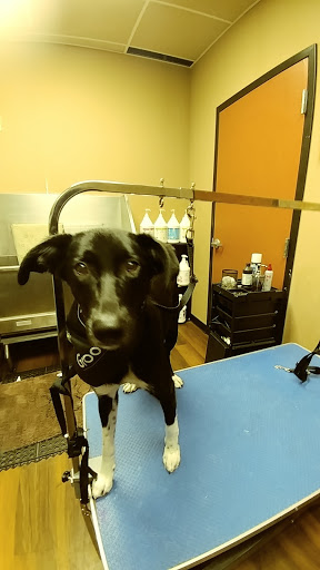 Pet Store «Pet Valu», reviews and photos, 2645 Shillington Rd, Sinking Spring, PA 19608, USA