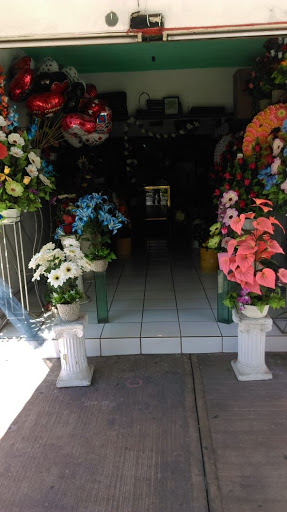 Florería Casa Blanca – Villa de Álvarez