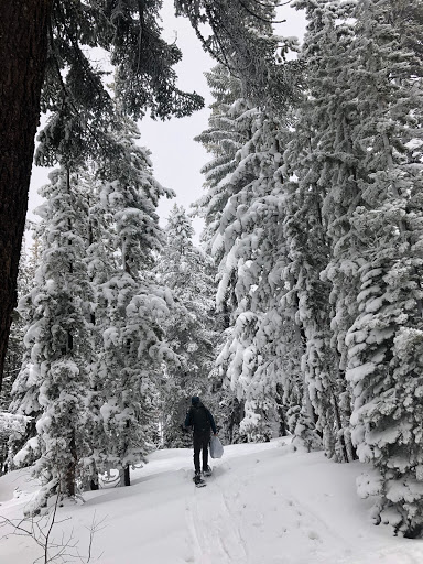 Outdoor Sports Store «Last Minute Gear», reviews and photos, 3156 24th St, San Francisco, CA 94110, USA