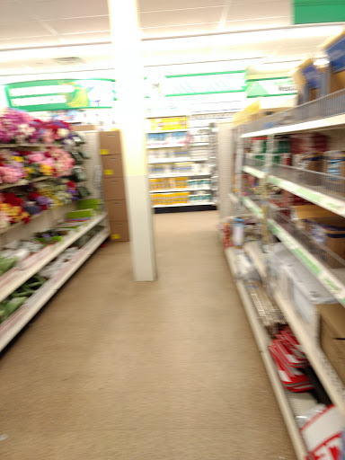 Dollar Store «Dollar Tree», reviews and photos, 2279 N 2nd St, Millville, NJ 08332, USA