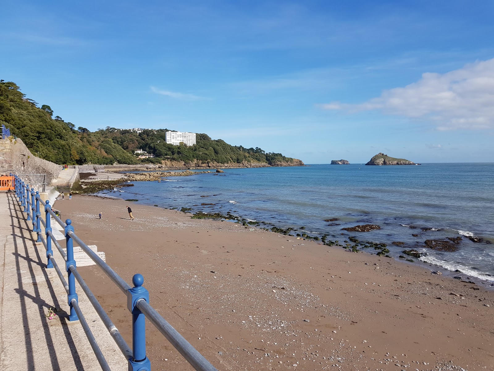 Photo de Plage de Meadfoot zone des équipements