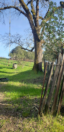 Vineyard «Porter Creek Vineyards», reviews and photos, 8735 Westside Rd, Healdsburg, CA 95448, USA