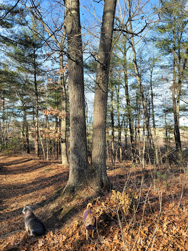 Park «Warren H Manning State Park», reviews and photos, 39 Chelmsford Rd, Billerica, MA 01821, USA