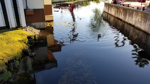 Theme Park «The Great Escape & Splashwater Kingdom», reviews and photos, 89 Six Flags Dr, Queensbury, NY 12804, USA