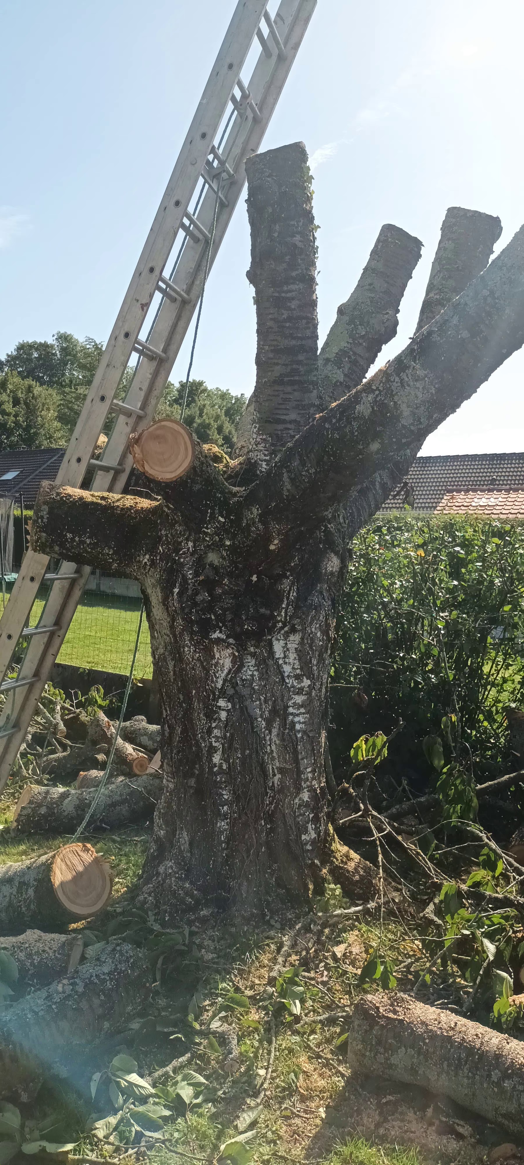 Photo n° 2 de l'avis de Alain.e fait le 10/09/2023 à 12:21
