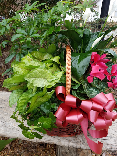 Florist «PEARTREE OF POWDER SPRINGS / Home.Florist.Gifts», reviews and photos, 4440 Marietta St, Powder Springs, GA 30127, USA