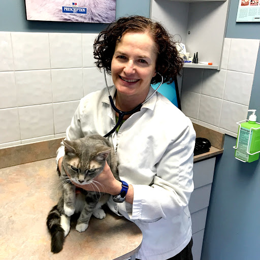 London Cat Clinic image