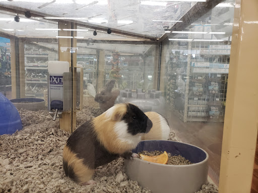 Pet Supply Store «Pet Supermarket», reviews and photos, 1125 Royal Palm Beach Blvd, Royal Palm Beach, FL 33411, USA