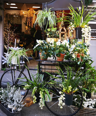 Le Marche Floral du 12EME à Marseille
