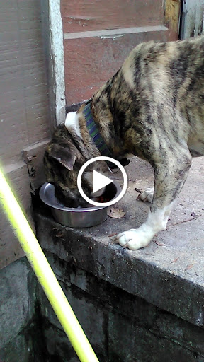 Discount Store «Dollar General», reviews and photos, 1001 Baytree Rd, Valdosta, GA 31602, USA