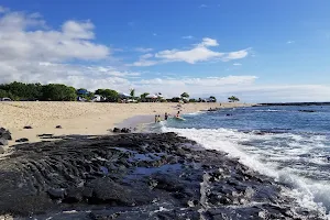 Pine Trees Surfing Beach image