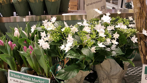 Grocery Store «Whole Foods Market», reviews and photos, 1575 Selby Ave, St Paul, MN 55104, USA