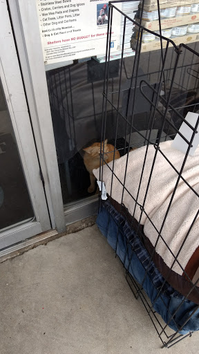 Pet Store «Healthy Pet», reviews and photos, 1775 Thousand Oaks Blvd, Thousand Oaks, CA 91362, USA