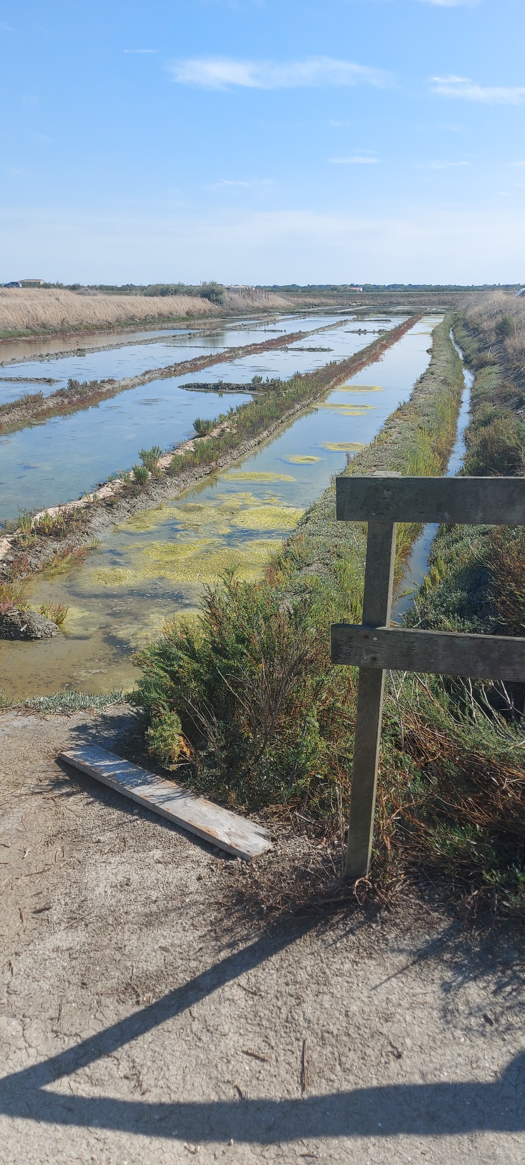 Photo n° 14 de l'avis de S.O fait le 01/09/2022 à 15:43