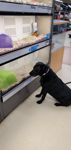 Pet Supply Store «Petco Animal Supplies», reviews and photos, 86 Storrs Rd, Mansfield Center, CT 06250, USA