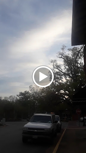 Florist «Encore Florals & Gifts», reviews and photos, 225 Kingston St, Conway, SC 29526, USA