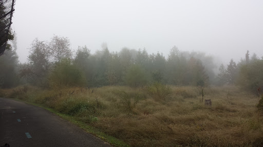 Golf Course «Paint Branch Golf Course», reviews and photos, 4690 University Blvd E, College Park, MD 20740, USA