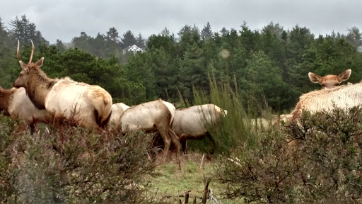 Golf Course «Highlands Golf Club», reviews and photos, 33260 Highlands Ln, Seaside, OR 97138, USA