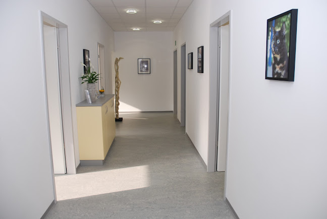 Kleintierpraxis 4 Pfoten, Hilfiker-Jud Franziska, Dr. med. vet. - Zug