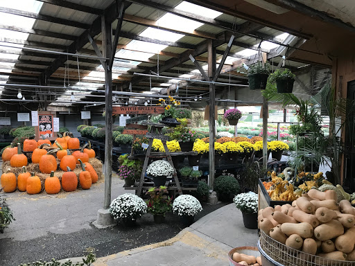 Florist «Sunshine Flowers», reviews and photos, 4509 Rainbow Blvd, Kansas City, KS 66103, USA