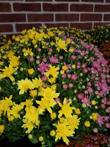 Supermarket «Super Stop & Shop», reviews and photos, 1429 NY-300, Newburgh, NY 12550, USA