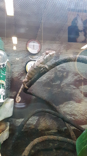 Pet Supply Store «Petco Animal Supplies», reviews and photos, 438 Southbridge St, Auburn, MA 01501, USA