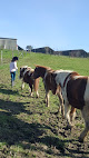 La Ferme En Scène Valence-sur-Baïse