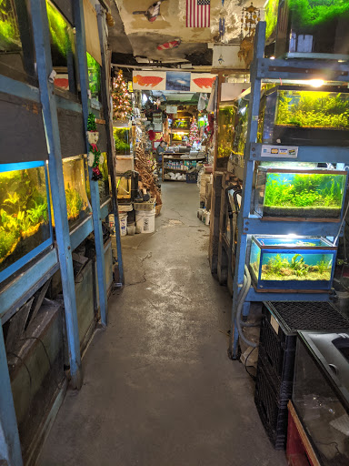 Tropical Fish Store «Ocean Aquarium», reviews and photos, 120 Cedar St, San Francisco, CA 94109, USA