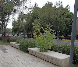 Cholula Park photo