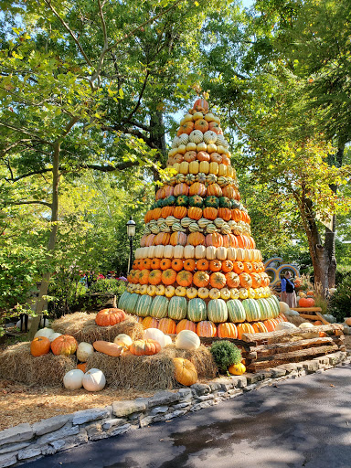 Theme Park «Silver Dollar City», reviews and photos, 399 Silver Dollar City Pkwy, Branson, MO 65616, USA