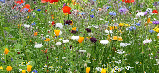 Tuincentrum Steenberghen & Gonthier