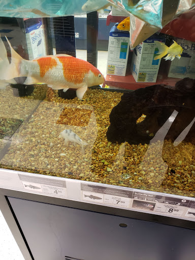 Pet Supply Store «Petco Animal Supplies», reviews and photos, 2021 Evergreen Ave, Modesto, CA 95350, USA