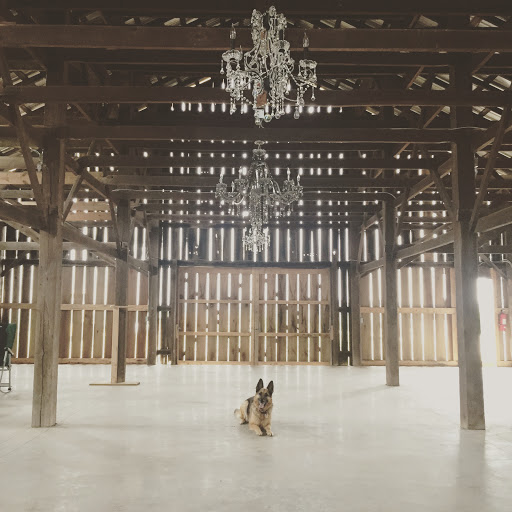 Winery «Farmer and Frenchman Winery», reviews and photos, 12522 US-41, Robards, KY 42452, USA