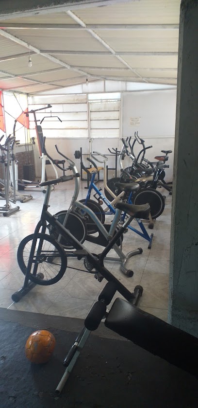 Training Fitness center-Gym Mexico
