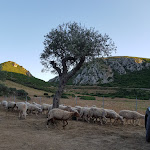 Photo n°8 de l'avis de Susanna.e fait le 10/07/2021 à 10:44 sur le  Agriturismo Sa Rocca à Iglesias