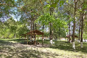 Landshaftnyy Park "Berezovyy Hay" image
