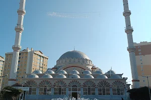 Seljuk Central Mosque image