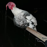 Photo n°2 de l'avis de Lo.h fait le 28/09/2021 à 13:28 sur le  Ausblick am Forellenhof à Hammelburg