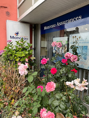 Monceau Assurances Nicolas Morvan à Quimper