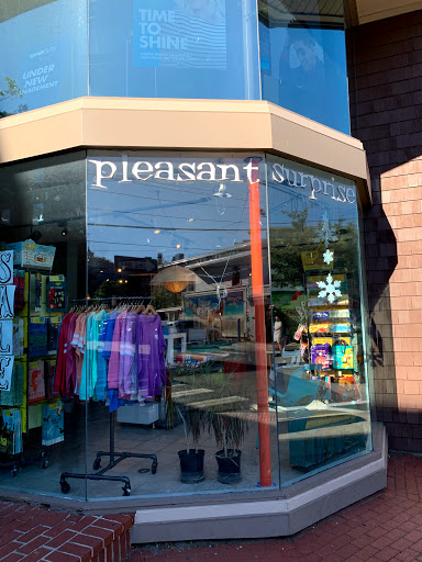 Gift Shop «Pleasant Surprise», reviews and photos, 297 Thayer St, Providence, RI 02906, USA