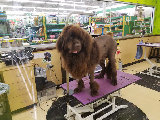 Pet Supply Store «Pet Supplies Plus», reviews and photos, 7331 Park Blvd N, Pinellas Park, FL 33781, USA